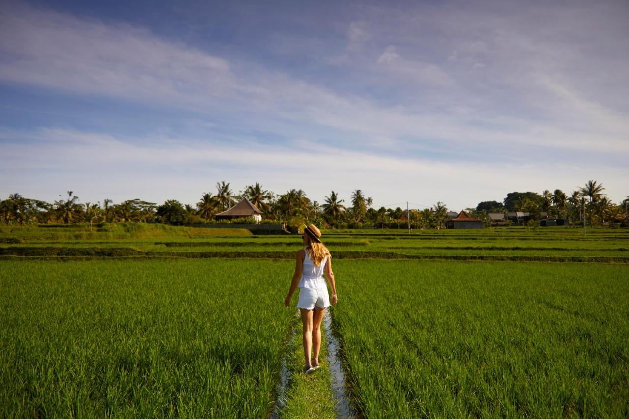 Element Bali Ubud Esterno foto
